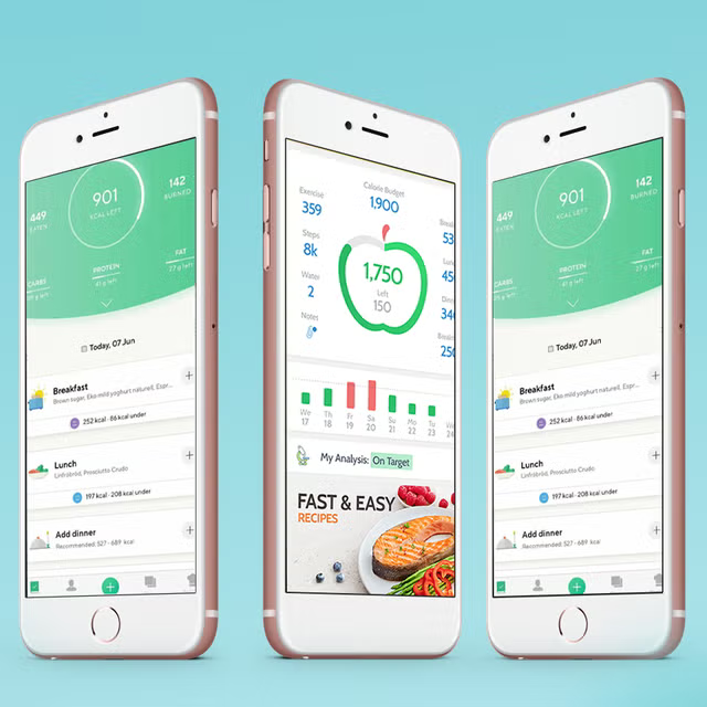 Interface de l'application Nutriday